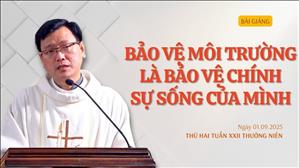 Bảo vệ môi trường là bảo vệ chính sự sống của mình - Lm Laurensô Hoàng Bá Quốc Huy