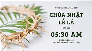 Thánh lễ trực tuyến: Chúa Nhật Lễ Lá lúc 5g30 ngày 05-4-2020 tại nhà thờ Đức Bà Sài Gòn