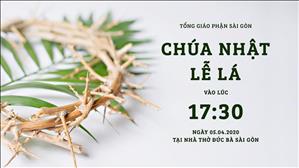 Thánh lễ trực tuyến: Chúa Nhật Lễ Lá lúc 17g30 ngày 04-4-2020 tại nhà thờ Đức Bà Sài Gòn