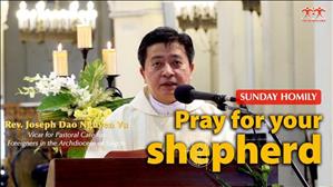 Pray for your shepherd - Fr. Joseph Dao Nguyen Vu - Fourth Sunday of Easter Homily (May 3, 2020)