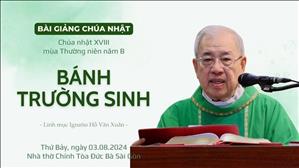 Bánh trường sinh - Lm Ignatio Hồ Văn Xuân | CN XVIII TN năm B