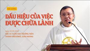 Dấu hiệu của việc được chữa lành - Lm GB Phương Đình Toại, MI | Thứ Tư tuần XXII Thường niên
