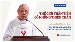 Thế giới thần tiên có những thiên thần - Lm Rôcô Nguyễn Duy | Các Thiên thần hộ thủ