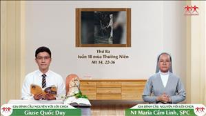 Đừng Sợ - Thứ Ba tuần XVIII Thường niên (Mt 14, 22-36)