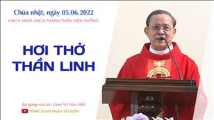 TGPSG Bài giảng: Chúa nhật Chúa Thánh Thần Hiện xuống ngày 5-6-2022 tại Nhà nguyện Trung tâm Mục vụ TGP Sài Gòn