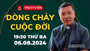 Trực tuyến: 19:30 Thứ Ba 6-8-2024 | Dòng Chảy Cuộc Đời - Lm GB Phương Đình Toại, MI