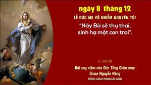 TGP Sài Gòn - Suy niệm Tin mừng ngày 08-12-2020: Lễ Đức Mẹ Vô nhiễm Nguyên tội - ĐTGM Giuse Nguyễn Năng
