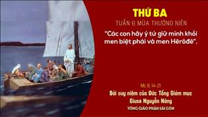 TGP Sài Gòn - Suy niệm Tin mừng ngày 16-2-2021: Thứ Ba tuần 6 mùa Thường niên - ĐTGM Giuse Nguyễn Năng