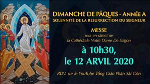 Dimanche de Pâques - année à solennité de la Résurrection du Seigneur, à 10h30, à la Cathédrale de Notre-Dame de Saïgon, le 12 avril 2020