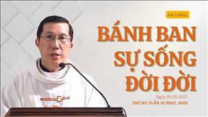 Bánh ban sự sống đời đời - Lm Giuse Đặng Chí Lĩnh | Thứ Ba tuần III Phục sinh