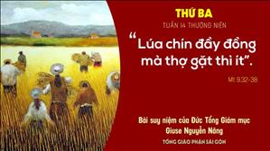 Suy niệm Tin mừng: Thứ Ba tuần 14 Thường niên (Mt 9,32-38) - Đức Tổng Giám mục Giuse Nguyễn Năng