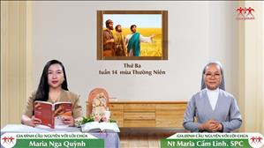  Người gặt - Thứ Ba tuần XIV TN | Gia Đình Cầu Nguyện Với Lời Chúa