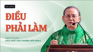 Điều phải làm - Lm Giuse Vũ Hữu Hiền | Chúa nhật XXVII Thường niên năm C