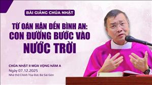 Từ oán hận đến bình an: Con đường bước vào Nước Trời - Lm GB Phương Đình Toại, MI | CN II MV năm A