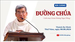 Đường Chúa - Lm Giuse Hoàng Ngọc Dũng | Thứ Năm tuần XVIII TN