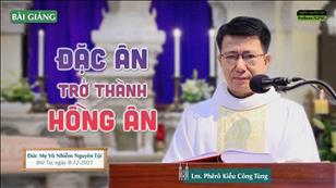 TGP Sài Gòn trực tuyến 8-12-2021: Đức Mẹ Vô Nhiễm Nguyên Tội lúc 5:30 tại Nhà thờ Chính tòa Đức Bà