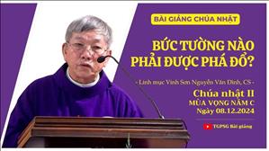 Bức tường nào phải được phá đổ? - Lm Vinh Sơn Nguyễn Văn Đình, CS | CN II MV năm C