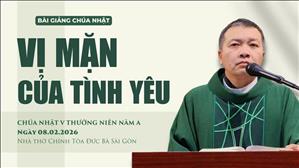 Vị mặn của tình yêu - Lm GB Phương Đình Toại, MI | Chúa nhật V TN năm A