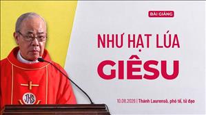 Như hạt lúa Giêsu - Lm Rôcô Nguyễn Duy | Thánh Laurensô, phó tế, tử đạo