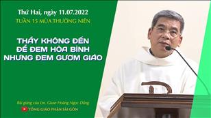 TGPSG Bài giảng: Thứ Hai tuần 15 mùa Thường niên ngày 11-7-2022 tại Nhà nguyện Trung tâm Mục vụ TGP Sài Gòn
