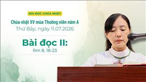 Bài đọc II: Rm 8, 18-23 | Chúa nhật XV Thường niên năm A