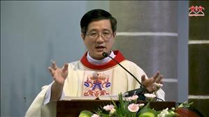 TGP Sài Gòn - Bài giảng thánh lễ Lòng Chúa Thương Xót ngày 11-9-2020 - Cái nhìn thương xót và yêu thương của Thầy Giêsu