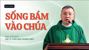Sống bám vào Chúa - Lm GB Phương Đình Toại, MI | Thứ Tư tuần XXIII Thường niên