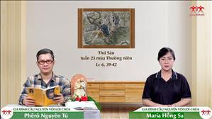 Sửa Dạy Huynh Đệ - Thứ Sáu tuần XXIII Thường niên (Lc 6, 39-42)