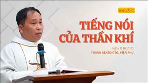 Tiếng Nói Của Thần Khí - Lm. Giuse Bùi Quang Minh, S.J | Thứ Sáu tuần XIV mùa Thường niên
