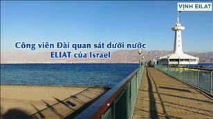 Lời & Đất Hứa: CN 20 Thường niên năm C - Công viên Đài quan sát dưới nước ELIAT của Israel
