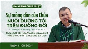 Sự mỏng dòn của Chúa nuôi dưỡng tôi trên đường đời - Lm GB Phương Đình Toại, MI | CN XIX TN năm B