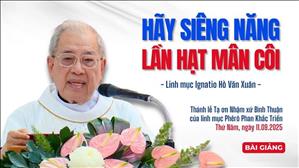 Hãy siêng năng lần hạt Mân Côi - Lm Ignatio Hồ Văn Xuân