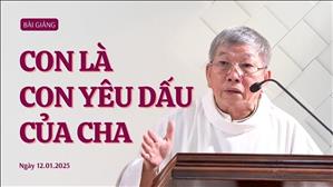 Con là con yêu dấu của Cha - Lm Vinh Sơn Nguyễn Văn Định, CS | Chúa Giêsu chịu phép Rửa năm C