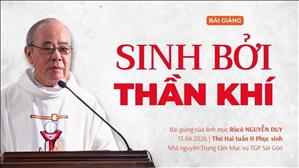 Sinh bởi Thần Khí - Lm Rôcô Nguyễn Duy | Thứ Hai tuần II Phục sinh