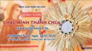 Chầu Mình Thánh Chúa - Lần Chuỗi Mân Côi lúc 20g00 ngày 14-5-2020 tại nhà thờ Đức Bà Sài Gòn