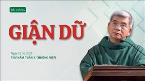 Giận dữ - Lm Giuse Hoàng Ngọc Dũng | Thứ Năm tuần X Thường niên