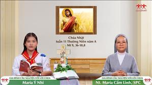  Chạnh lòng thương - Chúa nhật XI TN năm A | Gia Đình Cầu Nguyện Với Lời Chúa