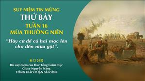 TGP Sài Gòn - Suy niệm Tin mừng: Thứ Bảy tuần 16 mùa Thường niên (Mt 13, 24-30)