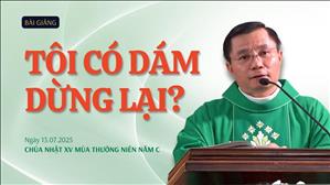 Tôi có dám dừng lại? - Lm Phêrô Trần Anh Tú, SDB | Chúa nhật XV Thường niên năm C