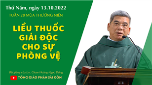 TGPSG Bài giảng: Thứ Năm tuần 28 mùa Thường niên ngày 13-10-2022 tại Nhà nguyện Trung tâm Mục vụ TGP Sài Gòn