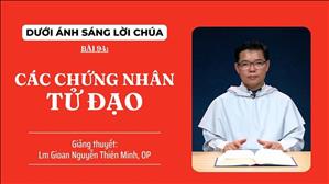 Bài 94: Các chứng nhân tử đạo | Dưới Ánh Sáng Lời Chúa