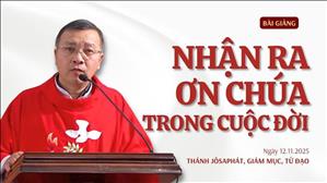 Nhận ra ơn Chúa trong cuộc đời - Lm GB Phương Đình Toại, MI | Thứ Tư tuần XXXII Thường niên