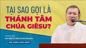 Tại sao gọi là Thánh Tâm Chúa Giêsu? - Lm GB Phương Đình Toại, MI