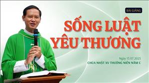 Sống Luật Yêu Thương - Lm. Tôma Vũ Ngọc Tín, S.J. | Chúa nhật XV Thường niên năm C