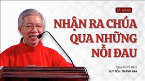 Nhận ra Chúa qua những nỗi đau - Lm Phanxicô Xaviê Bảo Lộc | Suy tôn Thánh Giá