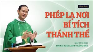 Phép lạ nơi Bí tích Thánh Thể - Lm Tôma Vũ Ngọc Tín, SJ