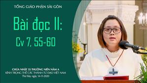 Kính trọng thể các thánh Tử đạo Việt Nam - Bài đọc II: Cv 7, 55-60