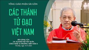Kính trọng thể các thánh Tử đạo Việt Nam - Bài giảng