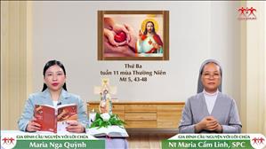 Yêu kẻ thù - Thứ Ba tuần XI TN | Gia Đình Cầu Nguyện Với Lời Chúa