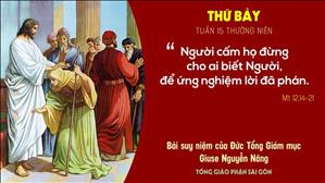 Suy niệm Tin mừng: Thứ Bảy tuần 15 Thường niên (Mt 12,14-21) - ĐTGM Giuse Nguyễn Năng